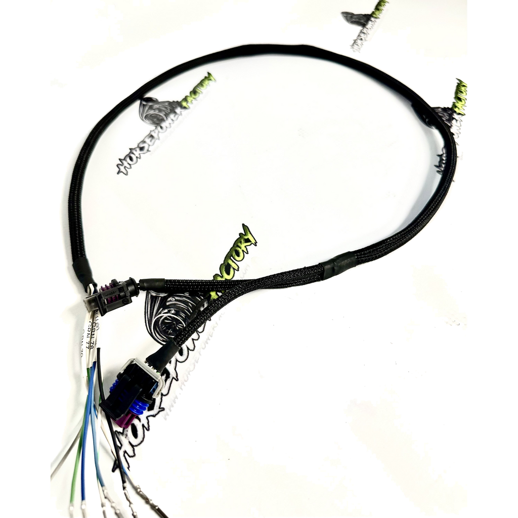 DBC conversion harness